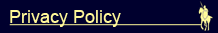 vCoV[|V[ Privacy Policy